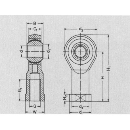 CHS10