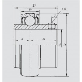 SUC 203