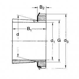 H213